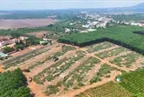 Tái định cư đồng bộ để giữ tiến độ cao tốc Quy Nhơn – Pleiku