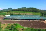 Thanh tra chỉ ra nhiều vi phạm tại 3 doanh nghiệp phân bón ở Thanh Hóa