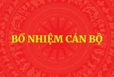 Bổ nhiệm Trợ lý Thủ tướng, Phó Thủ tướng Thường trực Chính phủ