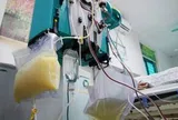 Người phụ nữ 27 tuổi "máu trắng như sữa", bác sĩ điểm mặt chỉ tên thói quen ăn uống "cực độc"