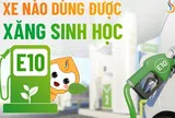 Xăng E10 bán đại trà, các hãng công bố mẫu xe tương thích và chế độ bảo hành