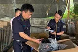 Hải quan quyết liệt chống buôn lậu, hàng giả và ma túy