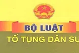 Đánh giá toàn diện kết quả thi hành Bộ luật Tố tụng dân sự