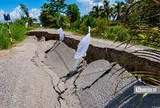 Sạt lở lan rộng tại Đồng Tháp Mười, nhiều người dân sống trong thấp thỏm