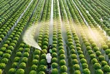 Xây dựng dự án sửa đổi 10 luật về thủ tục hành chính lĩnh vực nông nghiệp, môi trường theo thủ tục rút gọn