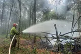 Quyết liệt triển khai các biện pháp cấp bách về
phòng cháy, chữa cháy rừng