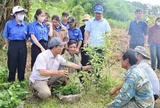 Một năm vận hành chính quyền hai cấp: Sự chuyển mình mạnh mẽ ở xã vùng cao Quảng Ngãi