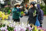 Chợ hoa phố Hoàng Hoa Thám nhộn ngày cuối năm