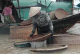 Giữa cái nắng như đổ lửa, người dân vẫn đổ xô xuống sông La săn “lộc trời”