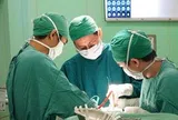TP Hồ Chí Minh: Nâng cao năng lực y tế cơ sở, đưa kỹ thuật cao đến gần người dân
