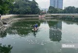 Hà Nội: Cá chết nổi trắng hồ Nghĩa Đô