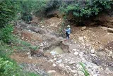 Giấc mộng vàng và nước mắt rừng phòng hộ Yên Na - Bài 2: Rừng phòng hộ 'chảy máu'