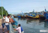 Chủ tàu "đỏ mắt" tìm bạn thuyền, nghề biển đối mặt bài toán thiếu lao động