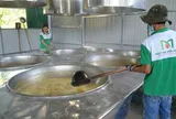 Giữ cây mía giữa lúc nghề truyền thống mai một, đưa đặc sản Quảng Ngãi xuất ngoại