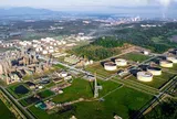 Nhiều doanh nghiệp Singapore muốn đầu tư khu công nghiệp và vùng nguyên liệu tại Quảng Ngãi