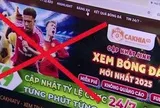 Bộ Công an: Vi phạm bản quyền bóng đá trên mạng ngày càng tinh vi