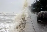 Tin bão mới nhất: Bão số 1 áp sát Quảng Ninh, gió giật cấp 11, cảnh báo thời tiết cực đoan