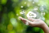 Doanh nghiệp Việt cần làm gì khi sàn giao dịch carbon đi vào hoạt động?
