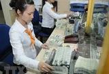 Đề xuất bổ sung Quyền rút vốn đặc biệt vào dự trữ ngoại hối nhà nước
