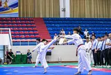 Hà Nội phấn đấu mỗi học sinh tiểu học biết chơi ít nhất một môn thể thao