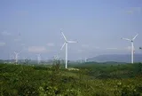 Để đạt Net Zero 2050 giá điện phải tăng thêm 30%