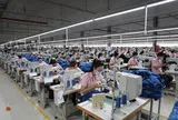 Lợi nhuận Dệt may Thành Công giảm mạnh