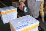 Giao nhiệm vụ vận chuyển mẫu sinh phẩm ADN trong chiến dịch 500 ngày đêm cho Bưu điện Việt Nam