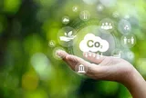 Doanh nghiệp Việt cần làm gì khi sàn giao dịch carbon đi vào hoạt động?