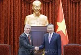 Tổng Bí thư, Chủ tịch nước Tô Lâm tiếp Đại sứ các nước Bỉ, Na Uy, Hà Lan và Brazil chào từ biệt