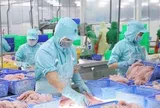 Triển vọng tích cực cho xuất khẩu cá tra của Việt Nam sang Canada
