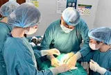 Nhiều kỳ vọng mới cho người bệnh từ những cập nhật tiến bộ điều trị ung thư