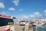 Lãnh đạo cấp cao Việt Nam chia buồn với lãnh đạo Ấn Độ vụ tàu du lịch gặp nạn ở An Giang