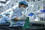 Đề xuất cắt giảm nhiều ngành, nghề kinh doanh có điều kiện