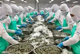 "Ông lớn" ngành tôm một thời ghi nhận doanh thu chưa tới 200 triệu đồng