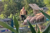 Triệt phá đường dây vận chuyển, mua bán hơn 250 tấn lợn bệnh ở Quảng Trị