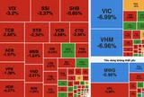 VN-Index mất mốc 1.700 điểm, nhiều nhóm ngành đồng loạt giảm sâu