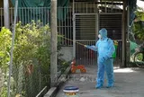 Kiểm soát, xử lý triệt để khu vực có nguy cơ gây dịch sốt xuất huyết