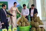 Lần đầu đấu giá sầu riêng tại vườn ở Đắk Lắk, doanh nghiệp trúng lô hàng 24 tỷ đồng