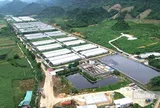 Vụ 5 công nhân tử vong ở trại lợn: 3 công ty chăn nuôi tại xã đều vi phạm về môi trường