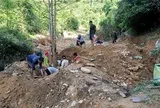 Giấc mộng vàng và nước mắt rừng phòng hộ Yên Na - Bài cuối: Cần sự đối diện trung thực và quyết liệt ngăn chặn