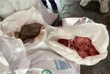 Gia Lai tạm giữ hơn 2 tấn mỡ, da động vật không rõ nguồn gốc