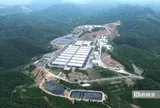 Một xã ở Thanh Hóa "gánh" 7 trại lợn, người dân sống khổ vì mùi hôi