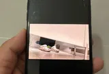 Vụ nam sinh viên cố thủ trong nhà vệ sinh nữ: Công an phát hiện nhiều video quay lén trong điện thoại