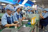 Không ký HĐLĐ khi thử việc đạt yêu cầu, doanh nghiệp bị phạt thế nào?