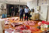 Chuyển cơ quan điều tra vụ gần 1 tấn thịt lợn nghi nhiễm dịch tả lợn châu Phi tại Hưng Yên