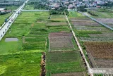 9 trường hợp không được bồi thường khi Nhà nước thu hồi đất theo dự thảo luật mới