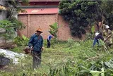 Gia Lai chủ động ứng phó và kiểm soát dịch bệnh sốt xuất huyết