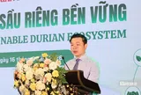 Ngành sầu riêng Đắk Lắk lấy chất lượng, hiệu quả, đổi mới làm động lực cốt lõi