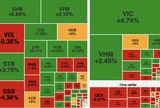 Cổ phiếu Vingroup dẫn dắt, VN-Index tăng hơn 25 điểm