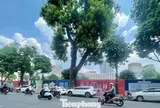 Chuyên gia nói gì về quy hoạch hồ Hoàn Kiếm trong tầm nhìn 100 năm?